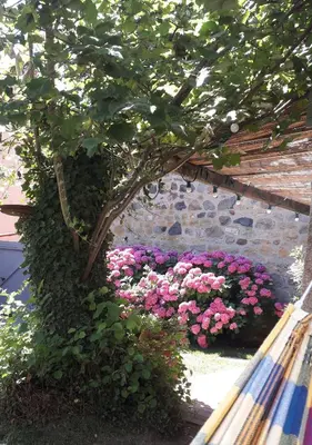 Jardin de l'établissement Le kaolin