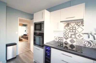 Cuisine ou kitchenette dans l'établissement Mon Appart A GERLAND II