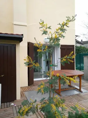 Jardin de l'établissement Atelier Liberation