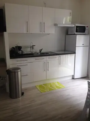 Cuisine ou kitchenette dans l'établissement Le Croix Roussien Lyon centre