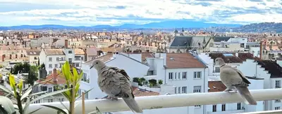 Vue générale sur la montagne ou vue sur la montagne depuis l'appartement