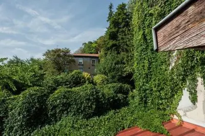 Jardin de l'établissement Sur les hauteurs du Vieux Lyon