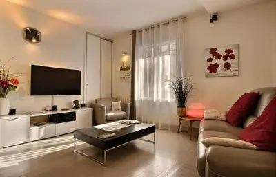 Télévision ou salle de divertissement dans l'établissement Lyon Superbe Appartement Parc Tête d'Or 95 M2 Clim Parking