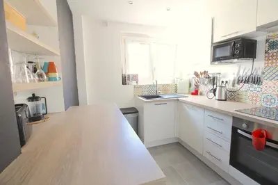 Cuisine ou kitchenette dans l'établissement Mon Appart A GERLAND IV