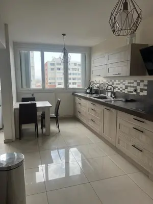 Cuisine ou kitchenette dans l'établissement Appartement Laurent Bonnevay