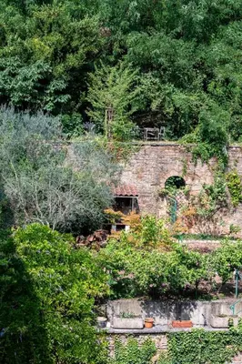 Jardin de l'établissement Le Ferratière - Moderne industriel du Vieux Lyon