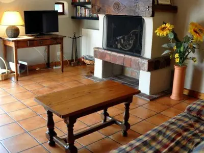 Télévision ou salle de divertissement dans l'établissement Gîte charmant avec cheminée et jardin clos près de Chazelles-sur-Lyon - FR-1-496-30