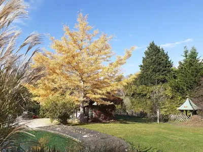 Jardin de l'établissement La Fée des Eaux