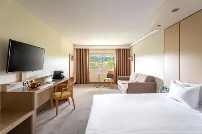 Un ou plusieurs lits dans un hébergement de l'établissement Hôtel Lyon Métropole & Spa
