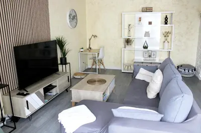 Télévision ou salle de divertissement dans l'établissement Cosy Appart - Proche Eurexpo - Balcon - Parking - Spacieux T2