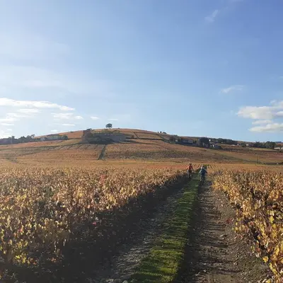 Paysage naturel près de le B&B/chambre d'hôtes