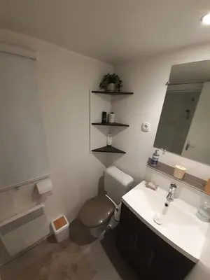 Salle de bains dans l'établissement mobile home for you Les Rives de Condrieu