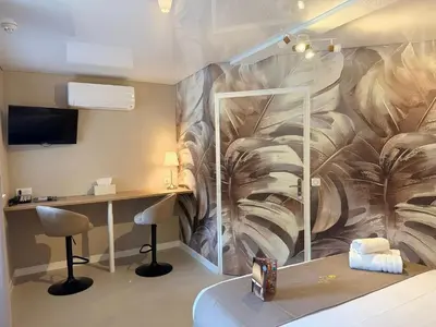 Télévision ou salle de divertissement dans l'établissement Hôtel Au Coq Dort Spa
