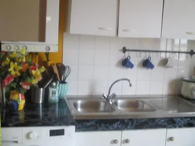 Cuisine ou kitchenette dans l'établissement COSY ROOM CROIX ROUSSE
