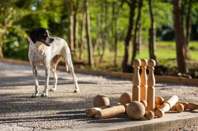 Animal ou animaux domestique(s) séjournant avec des clients dans l'établissement LA DOLOREANNE