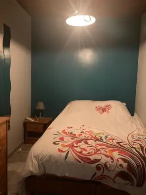 Un ou plusieurs lits dans un hébergement de l'établissement CHAMBRE CHEZ L' HABITANT SECTEUR LA RIZE