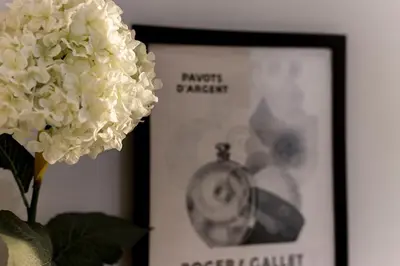 Plan de l'établissement L'Ethnic Ambience - Superbe appartement tout confort au coeur du Vieux Lyon