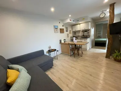 Cuisine ou kitchenette dans l'établissement Appartement cosy au coeur du Beaujolais