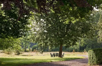 Jardin de l'établissement Château de Joyeux - Gîtes