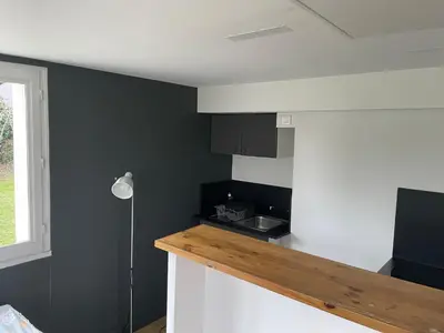 Cuisine ou kitchenette dans l'établissement Les studios de l'Horloge