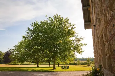 Plan de l'établissement Chateau de Joyeux - Chambres d'Hotes