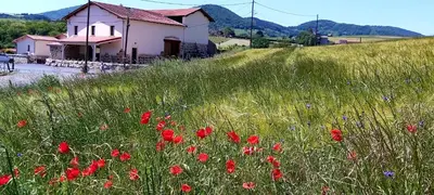 Paysage naturel près de la maison de vacances