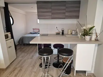 Cuisine ou kitchenette dans l'établissement spacieux studio dans le Beaujolais