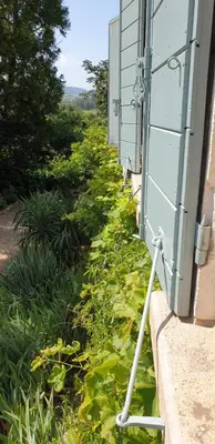 Jardin de l'établissement Château de Grandmont - Escale authentique au coeur des vignes