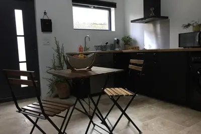 Cuisine ou kitchenette dans l'établissement Studio Moderne