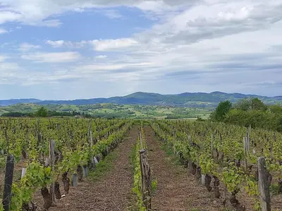 Paysage naturel près de la maison de vacances