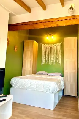 Un ou plusieurs lits dans un hébergement de l'établissement Rétro chic au coeur de Villeurbanne