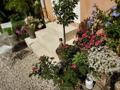 Jardin de l'établissement Charmant Studio sur cour à LYON 9e Mont d'or
