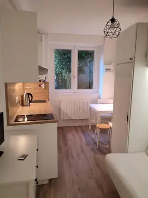 Cuisine ou kitchenette dans l'établissement Studio Croix Rousse