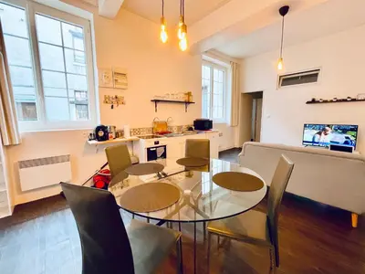 Cuisine ou kitchenette dans l'établissement L'appartement du Temple à Vienne