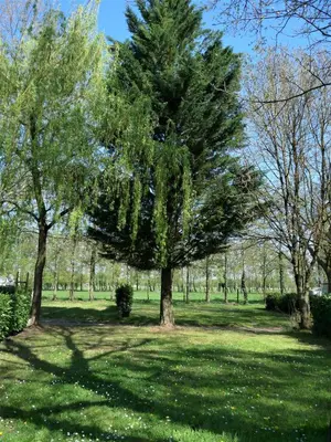 Jardin de l'établissement L'Oasis des Dombes