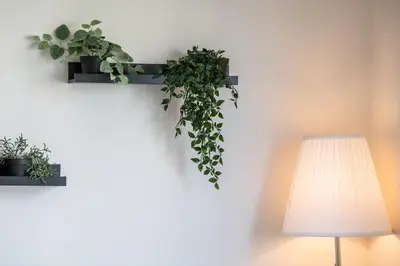 Plan de l'établissement Le Gaïa - Joli appartement au calme 10min du centre de Lyon
