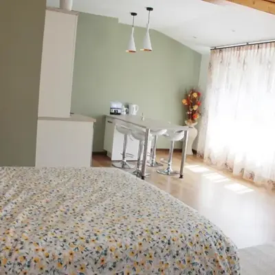 Saint Etienne : appartement Châteaucreux 40 M2