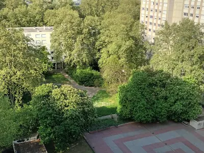 Jardin de l'établissement Tête d'Or Forest