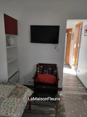 Télévision ou salle de divertissement dans l'établissement MaisonFleurie