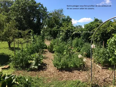 Jardin de l'établissement Le grain de Louise