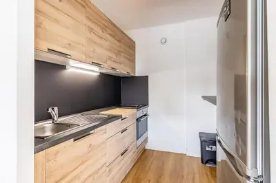 Cuisine ou kitchenette dans l'établissement T1 Confort Tête d'Or Doua - Parking Gratuit