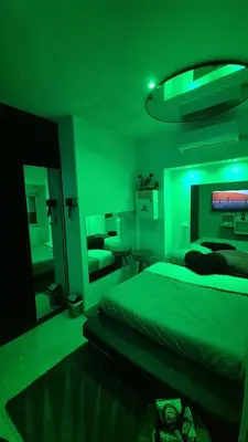 Un ou plusieurs lits dans un hébergement de l'établissement Lyon superbe jacuzzi vue sur jardin