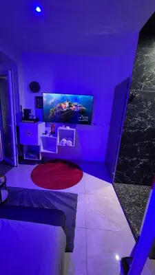 Télévision ou salle de divertissement dans l'établissement Lyon superbe jacuzzi vue sur jardin