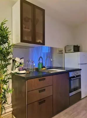 Cuisine ou kitchenette dans l'établissement Grand Studio Lyon Villeurbanne Proche Metro - Wifi