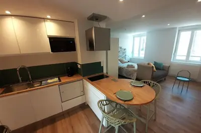 Cuisine ou kitchenette dans l'établissement Classé 3 Etoiles IDEAL VIENNE Centre ville 20 min de LYON
