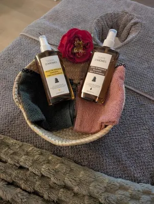 Plan de l'établissement Campagne et Jacuzzi ... c'est cosy le Bumble Bee !