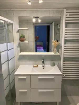 Salle de bains dans l'établissement Gite cosy 25 min Lyon Vienne St Etienne