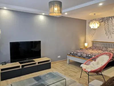 Télévision ou salle de divertissement dans l'établissement Petit Paradis Cosy T1 Bis 40m2 Indépendent Studio en Maison avec Jardin & Parking Gratuit