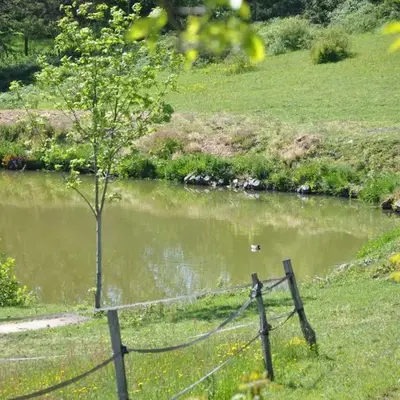 La Bergerie
