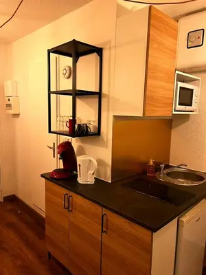 Cuisine ou kitchenette dans l'établissement Lyon centre appartement meublé
